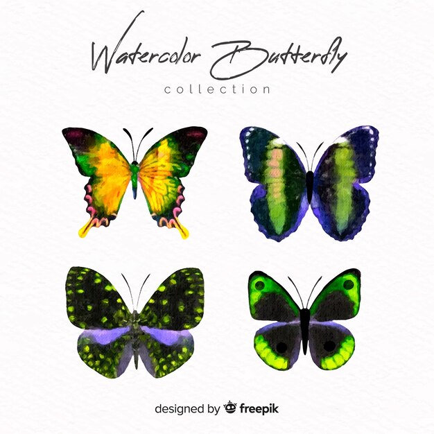 Colección de mariposas realistas