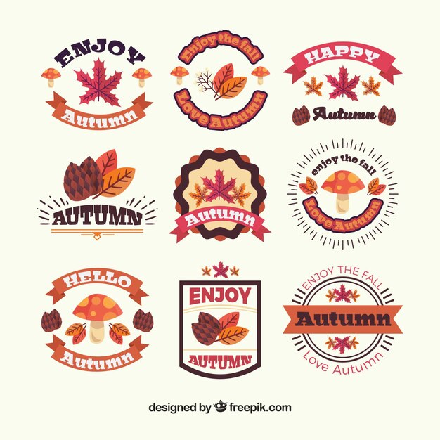 Colección moderna de insignias otoñales con diseño plano
