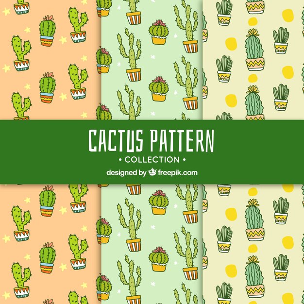 Colección moderna de patrones de cactus
