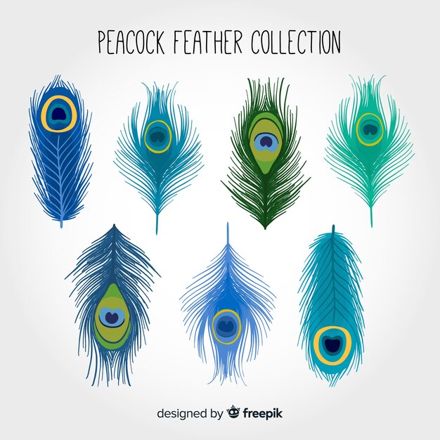 Colección moderna de plumas de pavo real dibujadas a mano