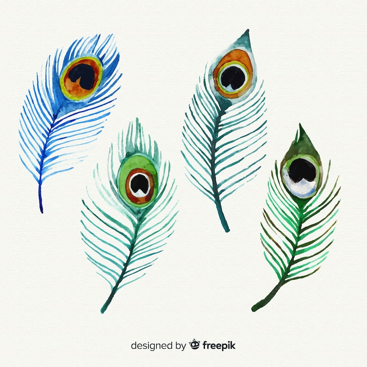 Vector gratuito colección moderna de plumas de pavo real dibujadas a mano