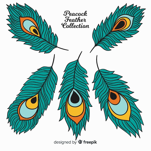 Colección moderna de plumas de pavo real dibujadas a mano