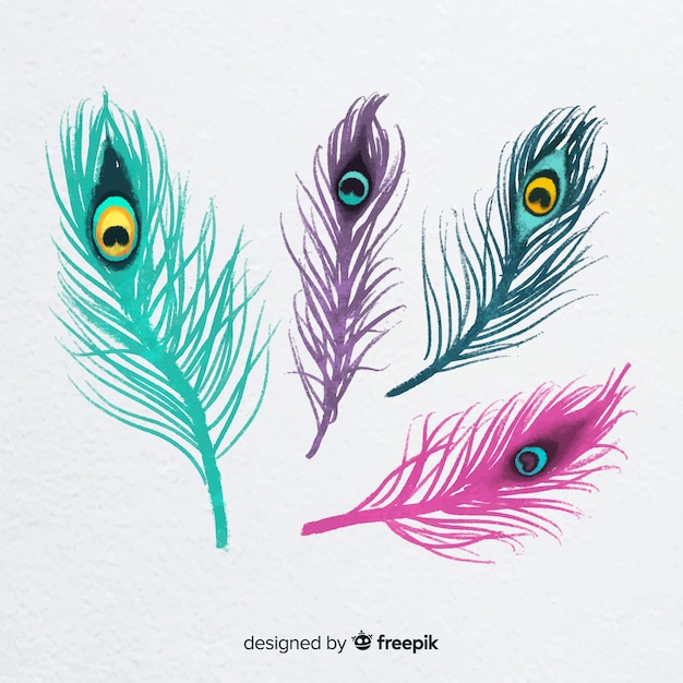 Colección moderna de plumas de pavo real dibujadas a mano