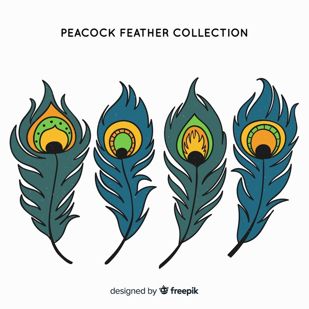 Colección moderna de plumas de pavo real dibujadas a mano