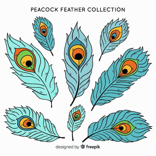 Colección moderna de plumas de pavo real dibujadas a mano