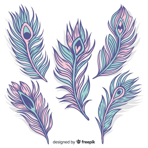 Colección moderna de plumas de pavo real dibujadas a mano