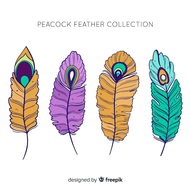 Colección moderna de plumas de pavo real dibujadas a mano