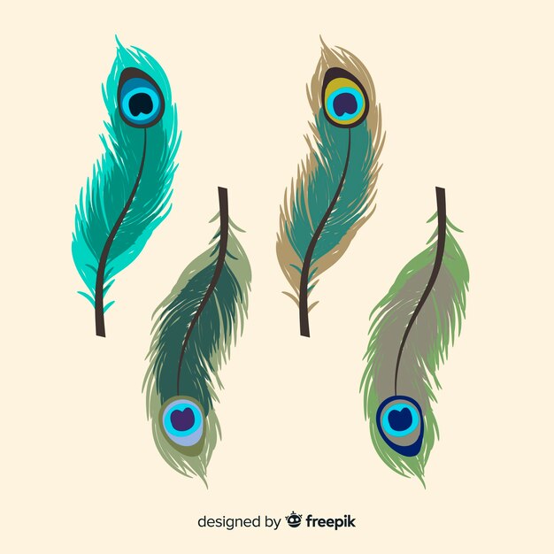 Colección moderna de plumas de pavo real dibujadas a mano
