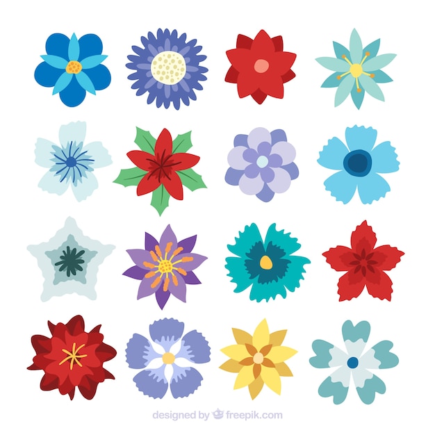 Colección de muchas varias flores de invierno