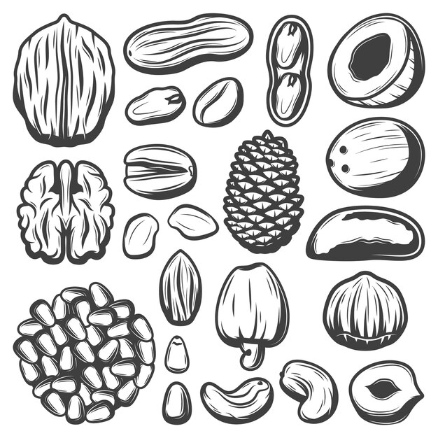 Colección de nueces orgánicas vintage con coco pistacho anacardo nuez almendra maní nuez macadamia piñones de Brasil aislado