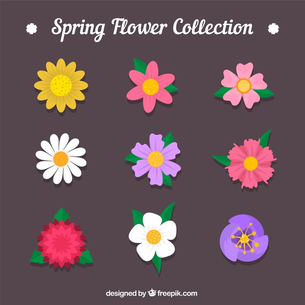 Colección de nueve flores de primavera