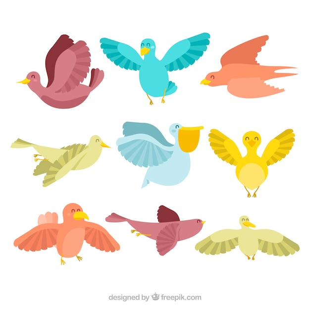 Colección de nueve pájaros coloridos