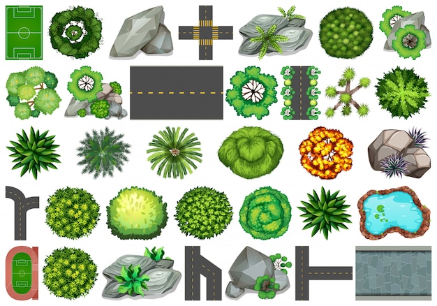 Colección de objetos de naturaleza al aire libre y elementos vegetales.