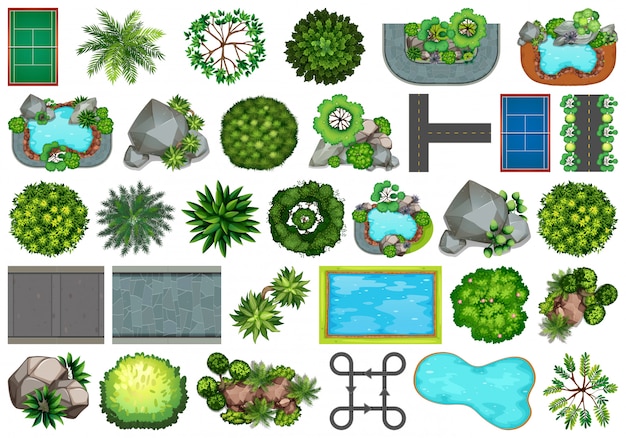 Colección de objetos temáticos de la naturaleza al aire libre y elementos vegetales.