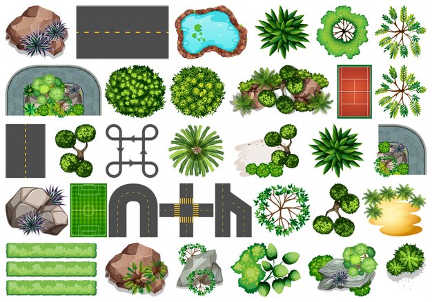 Colección de objetos temáticos de la naturaleza al aire libre y elementos vegetales.