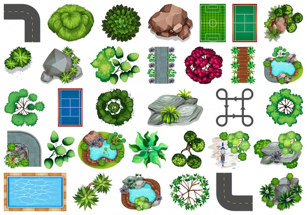 Colección de objetos temáticos de la naturaleza al aire libre y elementos vegetales.