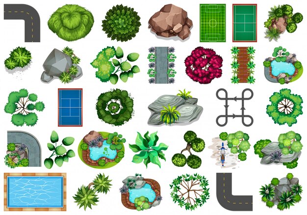 Colección de objetos temáticos de la naturaleza al aire libre y elementos vegetales.