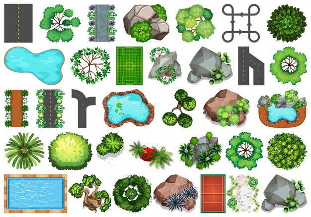Colección de objetos temáticos de la naturaleza al aire libre y elementos vegetales.