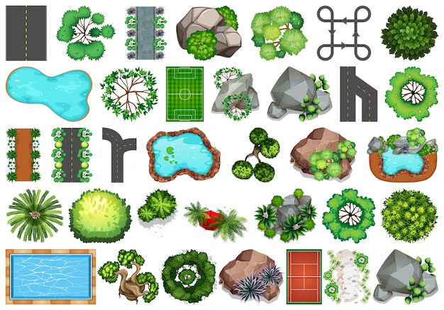 Colección de objetos temáticos de la naturaleza al aire libre y elementos vegetales.