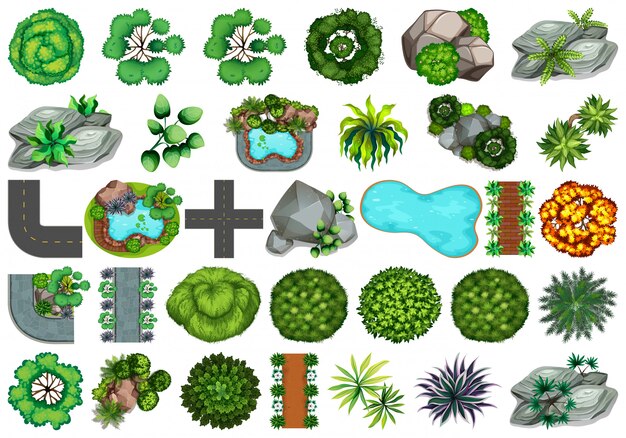 Colección de objetos temáticos de la naturaleza al aire libre y elementos vegetales.