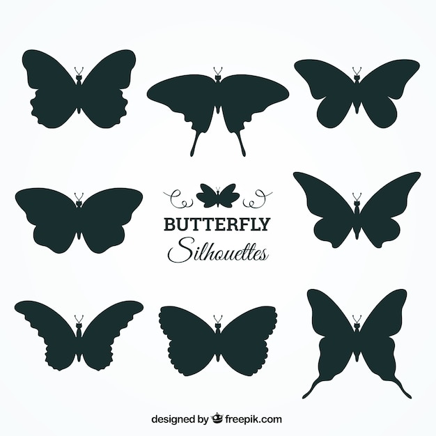 Colección de ocho siluetas de mariposas