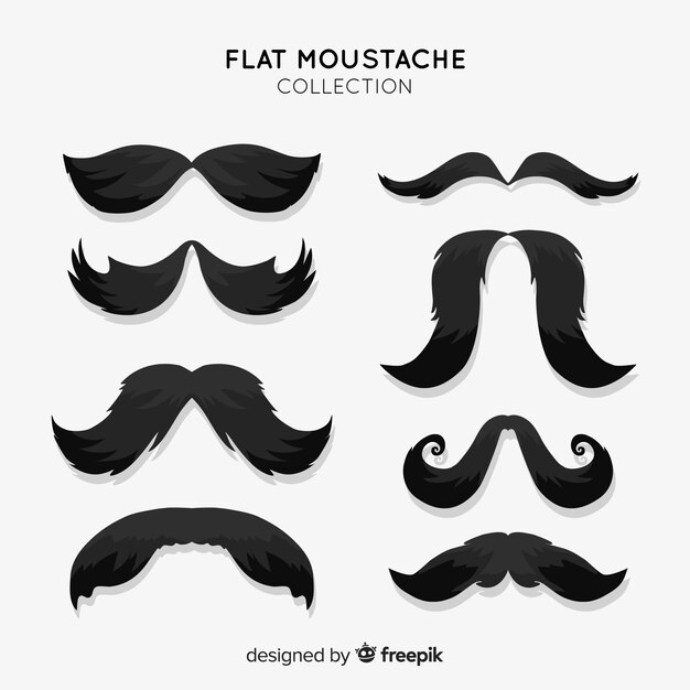 Colección original de bigotes con diseño plano