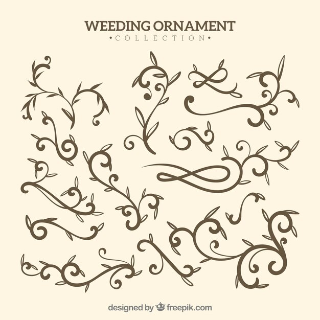 Colección de ornamentos de boda para decorar