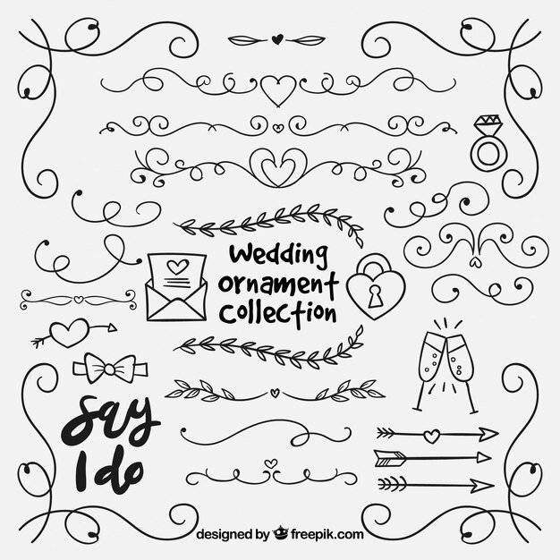Colección ornamentos dibujados a mano boda