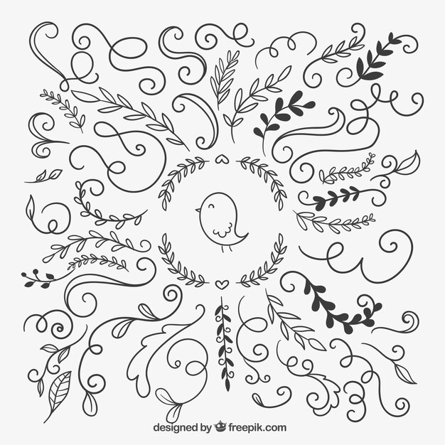 Colección de ornamentos esbozados
