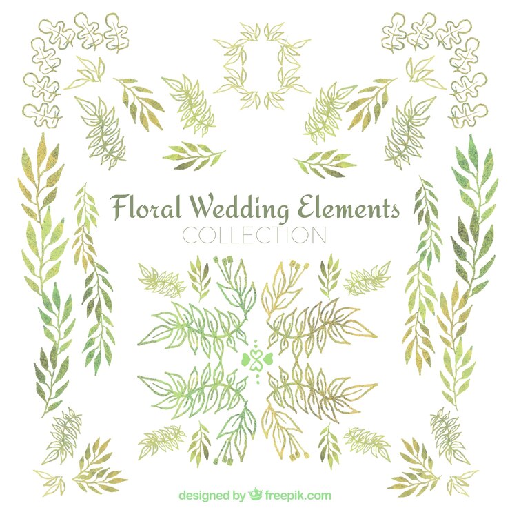 Vector gratuito colección de ornamentos florales de acuarela