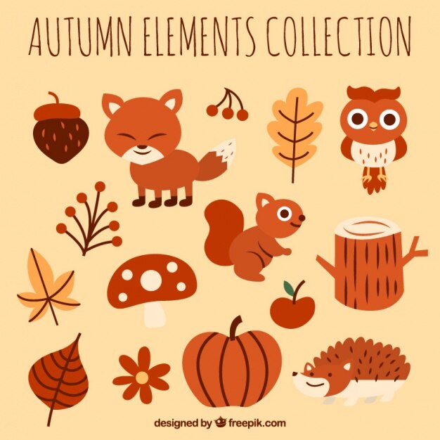 Colección de otoño de animales y elementos