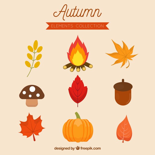 Colección de otoño en diseño plano