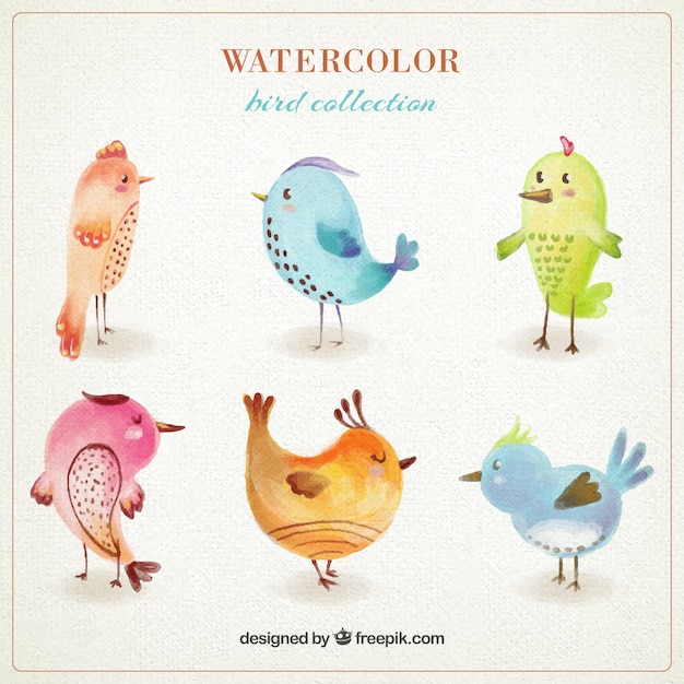 Colección de pájaros de colores de acuarela