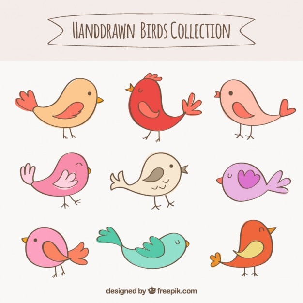 Vector gratuito colección de pájaros dibujados a mano