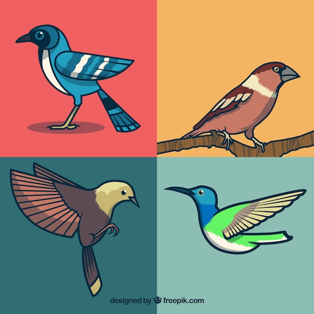 Vector gratuito colección de pájaros dibujados a mano