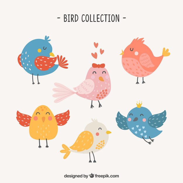 Colección de pájaros dibujados a mano