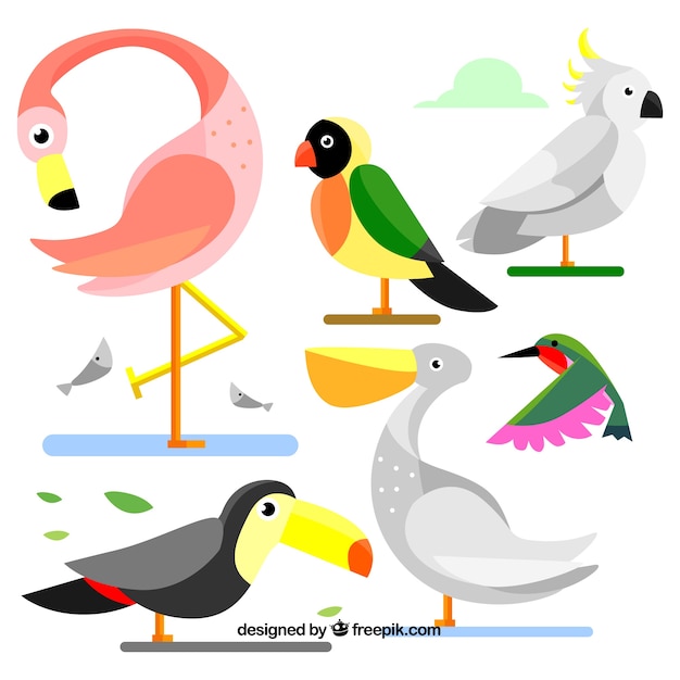 Vector gratuito colección de pájaros dibujados a mano