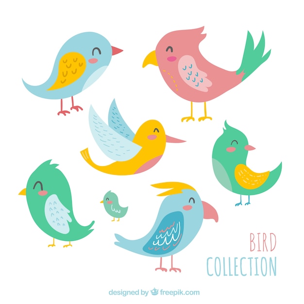 Vector gratuito colección de pájaros dibujados a mano