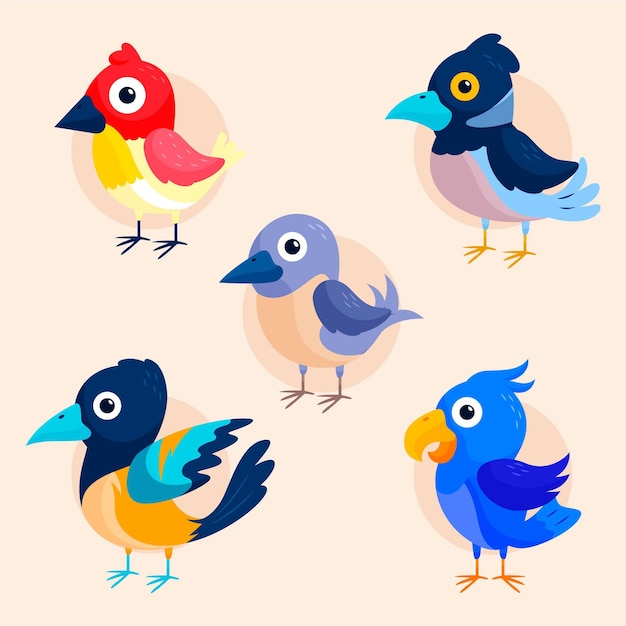 Colección de pájaros dibujados a mano