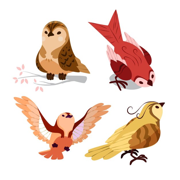Colección de pájaros dibujados a mano