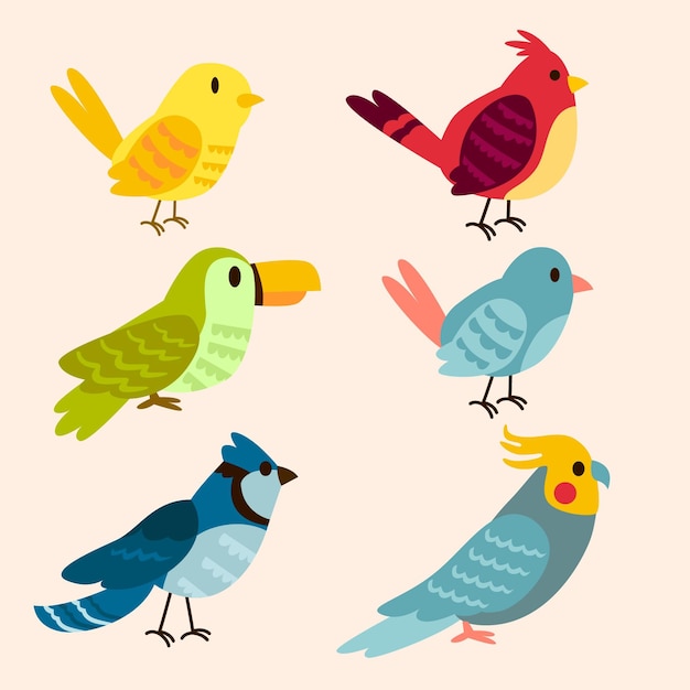 Colección de pájaros dibujados a mano