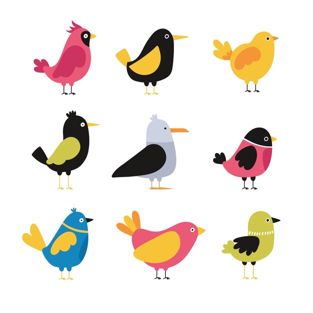 Colección de pájaros dibujados a mano