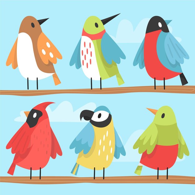 Colección de pájaros dibujados a mano