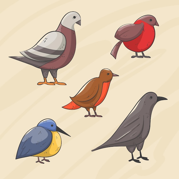 Colección de pájaros dibujados a mano