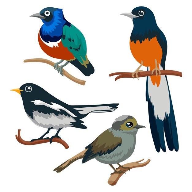 Colección de pájaros dibujados a mano