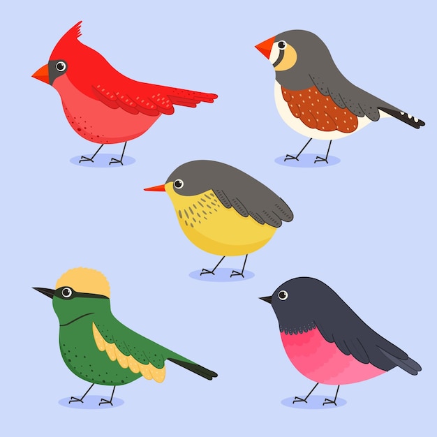 Colección de pájaros de diseño dibujado a mano