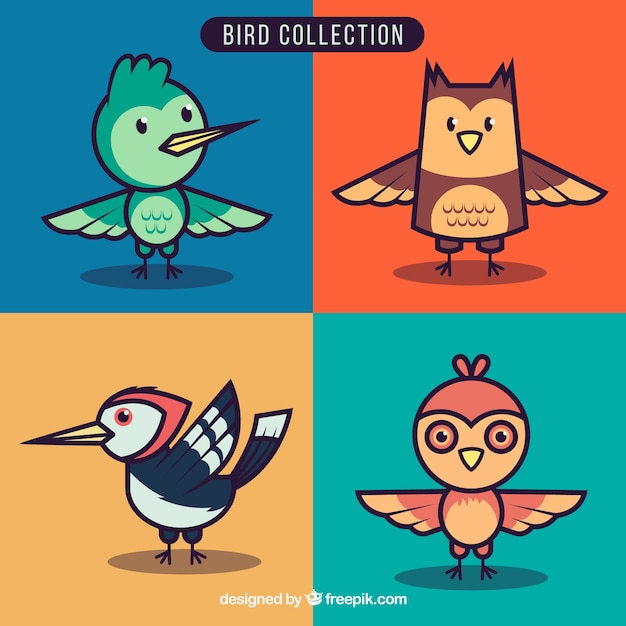 Colección de pájaros divertidos