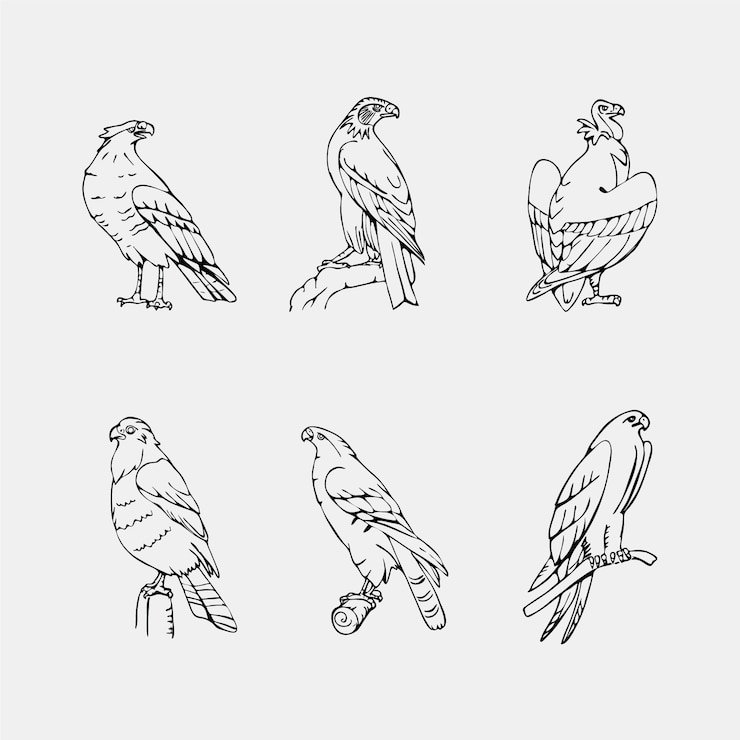 Vector gratuito colección de pájaros elegantes dibujados a mano