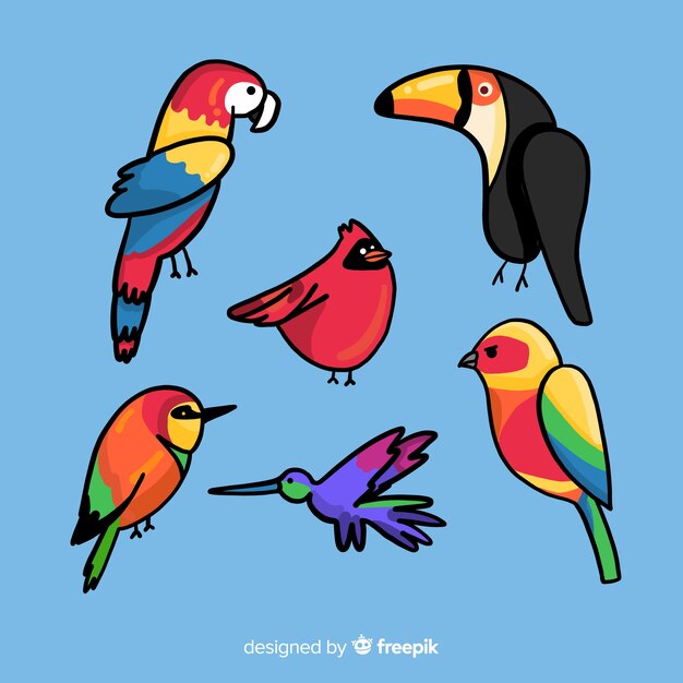 Colección de pájaros exóticos en diseño plano