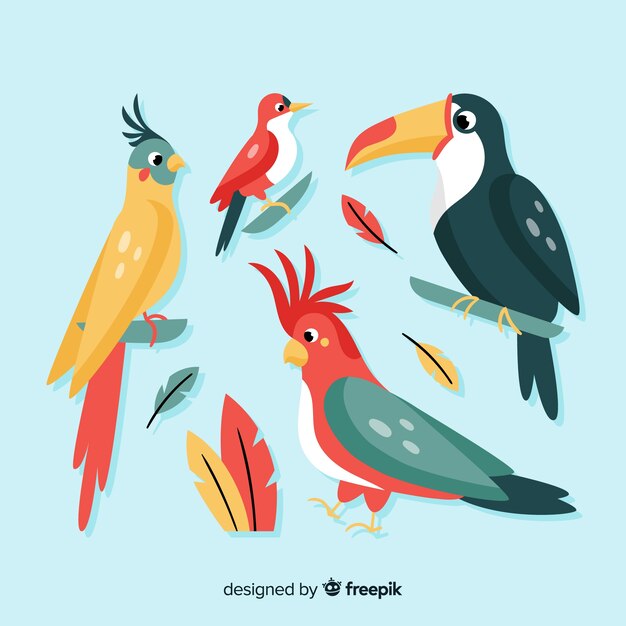 Colección pájaros exóticos estilo plano